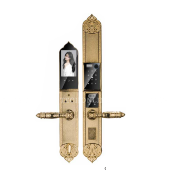 250-736-khoa-cua-van-tay-hyundai-slc-8817-gold