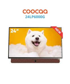 Google TV coocaa LP6000G 24"